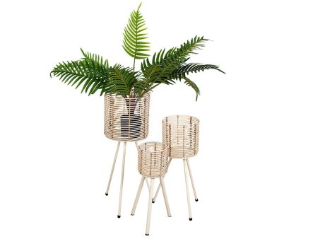 Set of Planters Romimex Rattan Legs (3 Pieces) Sale