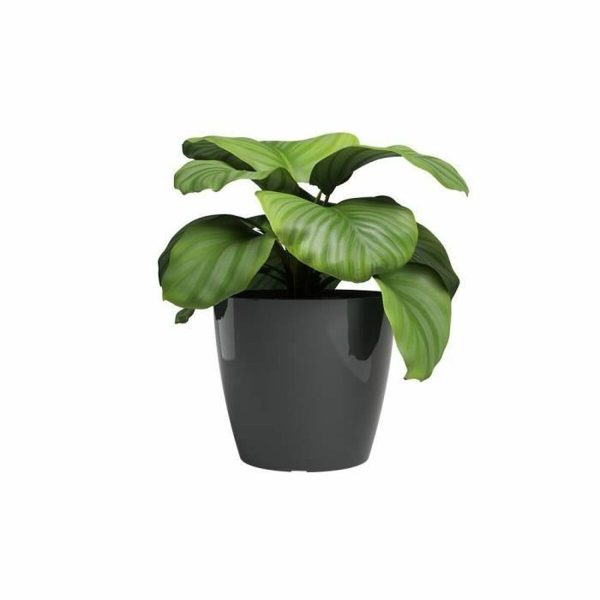 Planter Artevasi SAN REMO Anthracite Ø 36 cm (4 Pieces) For Sale