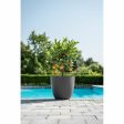 Planter Garden ID Phoenix Anthracite Anthracite 48 x 42 cm Discount