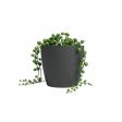 Planter Artevasi SAN REMO Anthracite Cheap