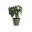 Planter Artevasi CAPRI Green Ø 40 cm Online Sale