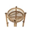 Planter DKD Home Decor Bamboo Natural (32 x 32 x 55.5 cm) Online now