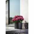 Planter Garden ID Respect 25 x 25 cm For Discount